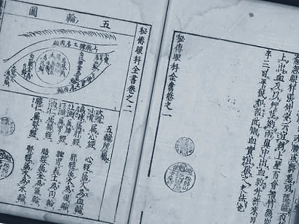 中国の眼科医・袁学淵が編んだ眼科の書。72種類に及ぶ詳細な病症と治療法を体系立ててまとめ、380年以上にわたり受け継がれてきました。
